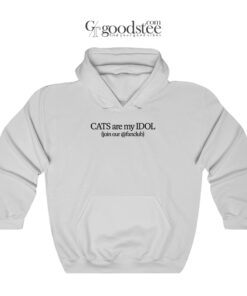 Jaemin Cats Are My Idol Join Our Fanclub Hoodie